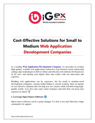 Cost-Effective Solutions for Small to Medium Web Application Development Companies