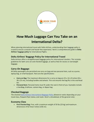 How Much Luggage Can You Take on an International Delta?