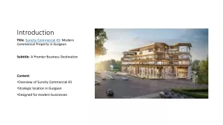 Suncity Commercial 43