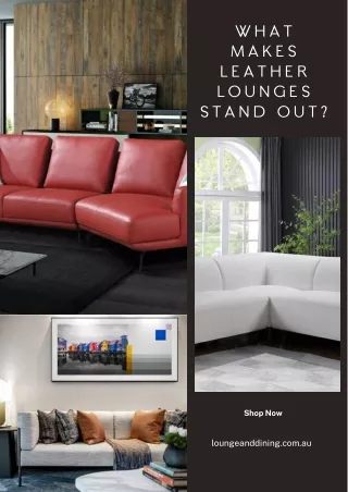 What Makes Leather Lounges Stand Out