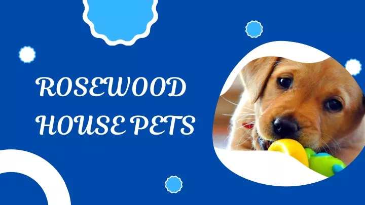 rosewood house pets