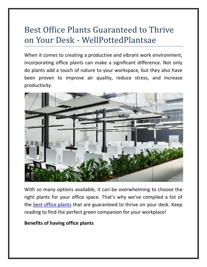 best office plants guaranteed to thrive on your