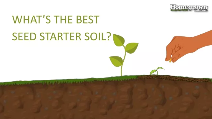 what s the best seed starter soil