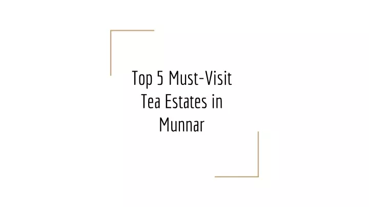 top 5 must visit tea estates in munnar