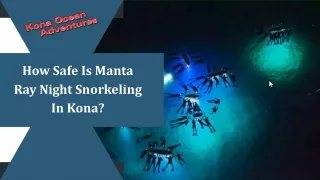 How Safe Is Manta Ray Night Snorkeling In Kona