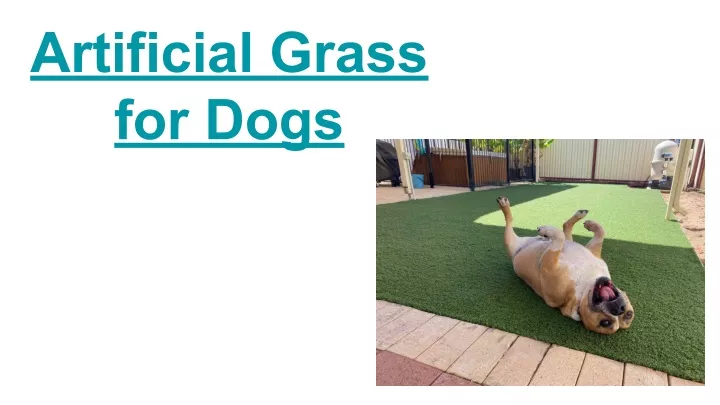 artificial grass for dogs