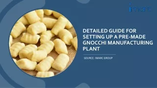Detailed Report On Pre-Made Gnocchi Manufacturing Unit