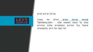tamirlevy com