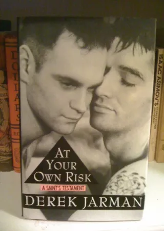 read❤ At Your Own Risk: A Saint's Testament