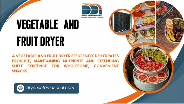 vegetable and fruit dryer