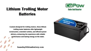 Lithium Trolling Motor Batteries