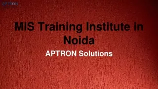 MIS Training Institute in