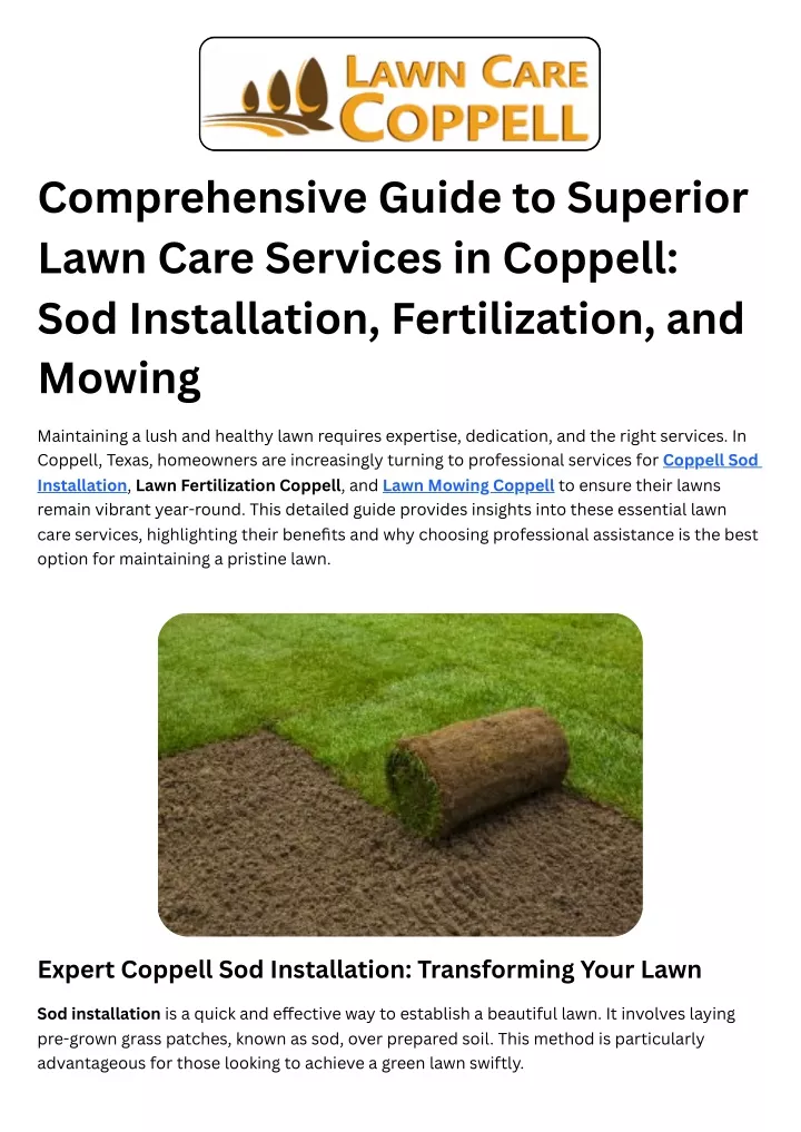 comprehensive guide to superior lawn care