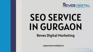 seo service in gurgaon reves digital marketing