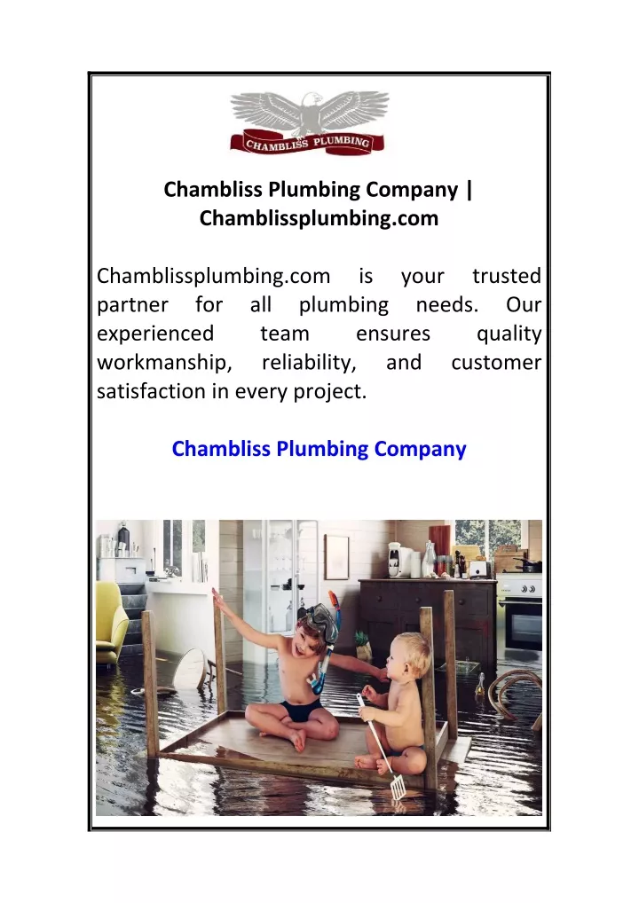 chambliss plumbing company chamblissplumbing com