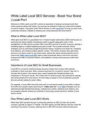 White Label Local SEO Services - Boost Your Brand _ Local Pro1 (1)