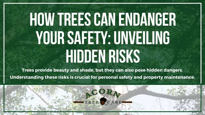 how trees can endanger your safety unveiling