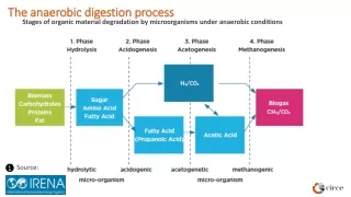 stages of organic material degradation