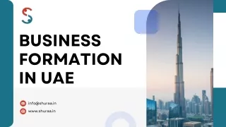 Business Formation In UAE