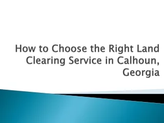 How to Choose the Right Land Clearing Service