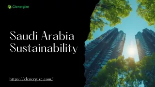 Saudi Arabia's Journey Towards Sustainability: An Overview
