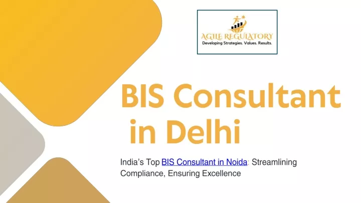 bis consultant in delhi