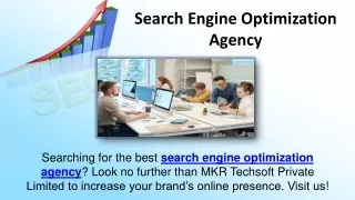 Search Engine Optimization Agency