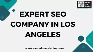 Expert SEO Company in Los Angeles