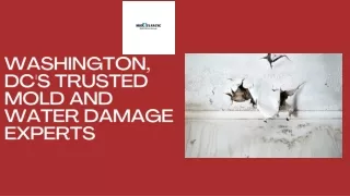 Fast and Effective Water Damage Restoration in Washington, DC