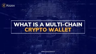 what is a multi chain crypto wallet