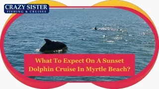 What To Expect On A Sunset Dolphin Cruise In Myrtle Beach