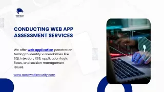 Conducting Web App Assessment Services - Aardwolf Security