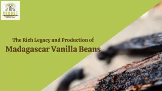 The Rich Legacy and Production of Madagascar Vanilla Beans