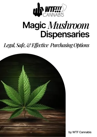 Unlock Safe and Legal Magic Mushroom Purchasing: Your Guide to Dispensaries