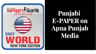Punjabi E-PAPER