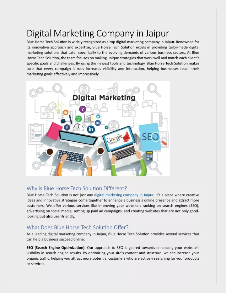 digital marketing company in jaipur blue horse