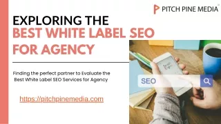 Choosing the Right White Label SEO Services to Boost Your Agency's Growth