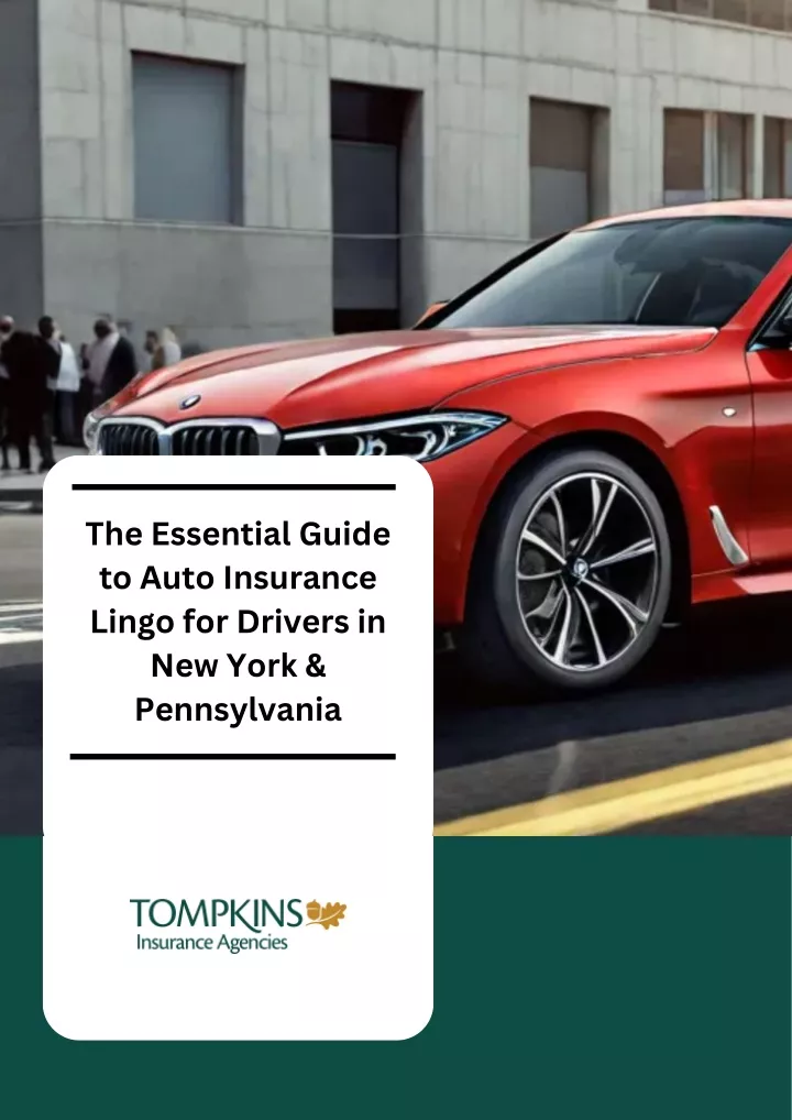 the essential guide to auto insurance lingo