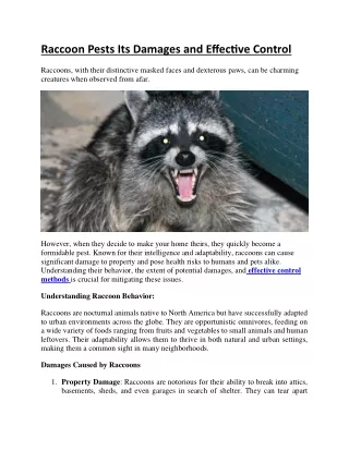 Raccoon Pests Its Damages and Effective Control
