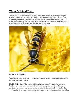 Wasp Pest And Their control