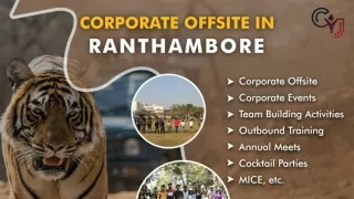 Corporate Offsite and Team Building Activities in Ranthambore