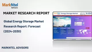 Global Energy Storage Market Research Report: Forecast (2024-2030)