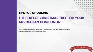 Tips for Choosing the Perfect Christmas Tree for Your Australian Home Online