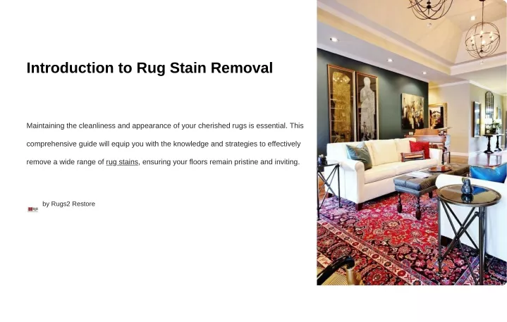 introduction to rug stain removal