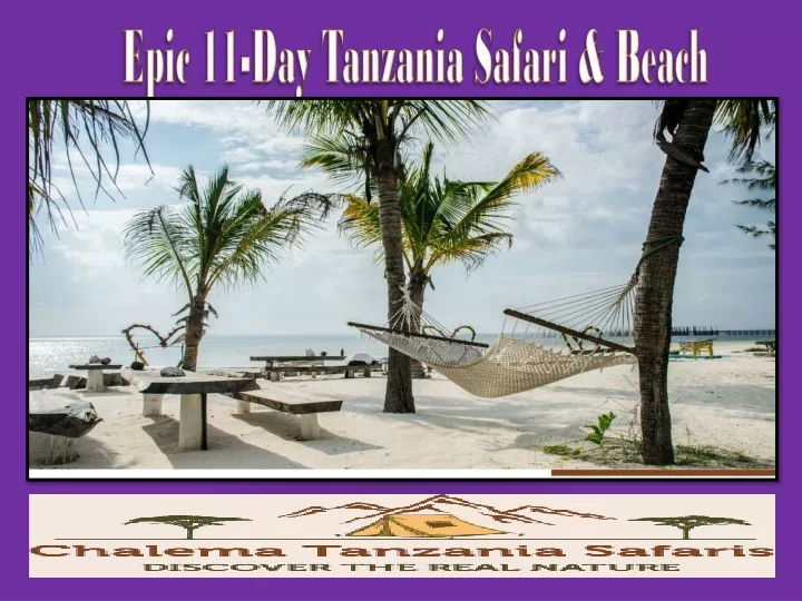 epic 11 day tanzania safari beach