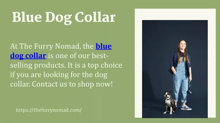 blue dog collar