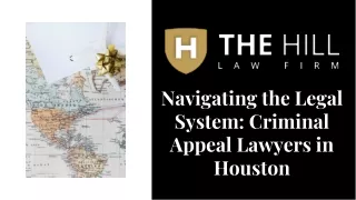 Navigating the Legal System Criminal Appeal Lawyers in Houston