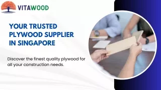 VitaWood Global: Your Go-To Source for Plywood in Singapore