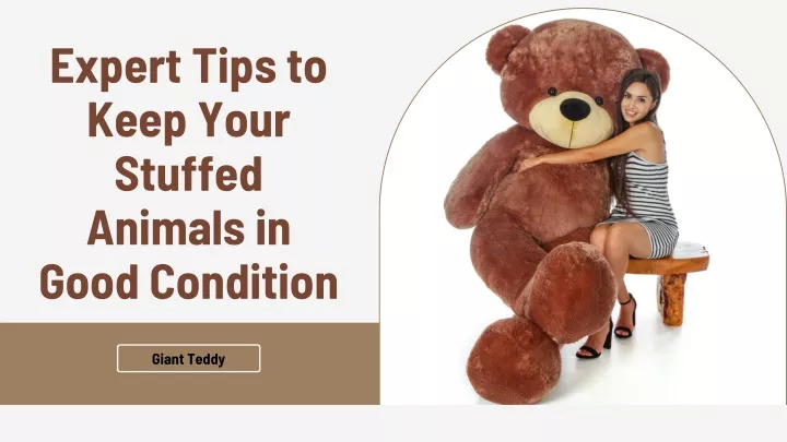 expert tips to keep your stuffed animals in good