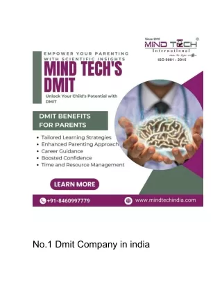 No.1 Dmit Company